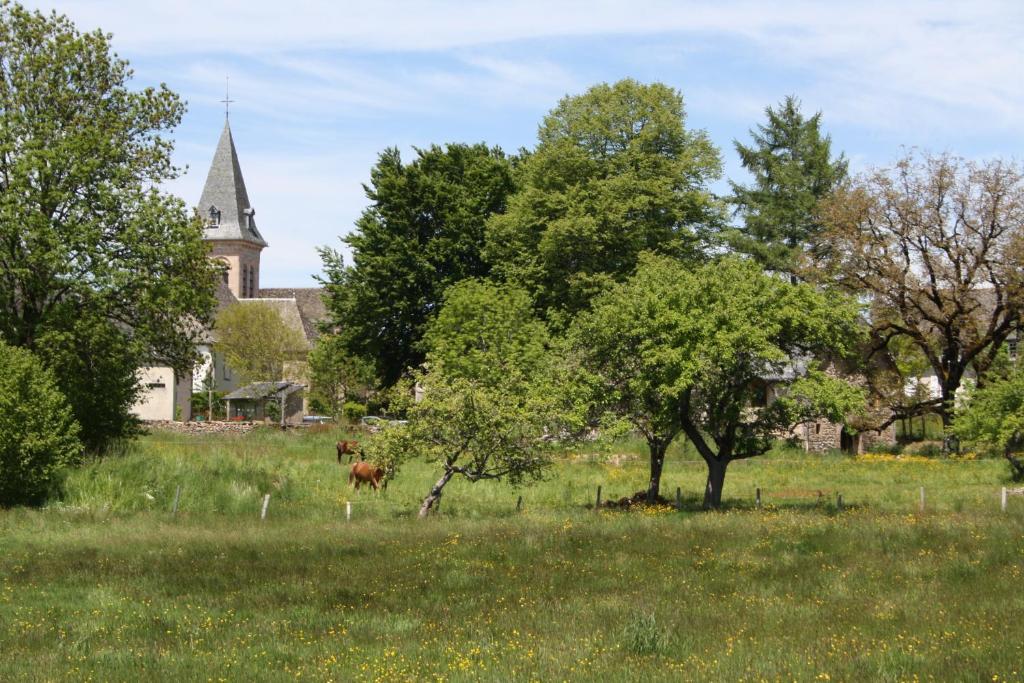 Auberge De Saint Julien Aux Bois Екстер'єр фото