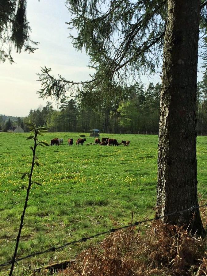 Auberge De Saint Julien Aux Bois Екстер'єр фото